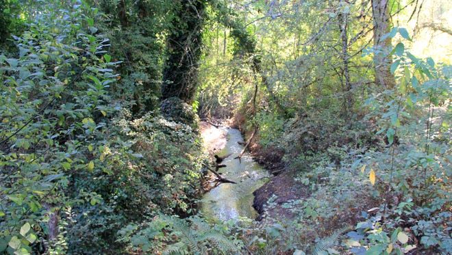 Glen Creek runs through Orchard Heights Park in West Salem.